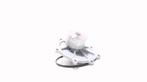 WATERPOMP Rover 75 (01-1998/05-2005) (GWP2602), Gebruikt, Rover