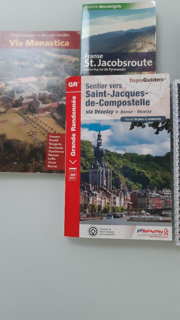 reisgids staproutes naar Compostella, Boeken, Reisgidsen, Zo goed als nieuw, Fiets- of Wandelgids, Europa, ANWB, Ophalen of Verzenden