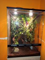 Terrarium 78/48/40 pour gekko à crete complet, Enlèvement, Utilisé, Terrarium ou Paludarium