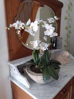 Kunst orchidee, Huis en Inrichting, Zo goed als nieuw, Ophalen