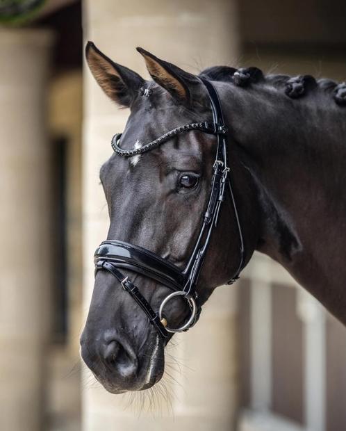 LeMieux Kudos Lak Dressuur Hoofdstel Zwart Full SUMMER SALE!, Dieren en Toebehoren, Paarden en Pony's | Hoofdstellen en Tuigage