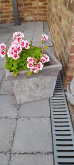 Pots de fleurs en pierre, Ophalen, Zo goed als nieuw, Steen
