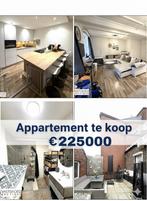 Appartement te koop €225000, Immo, Huizen en Appartementen te koop, 177 kWh/m²/jaar, 0 kWh/jaar, Tot 200 m², 2 kamers