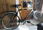 Herenfiets met versnellingen, 53 tot 57 cm, Ophalen, Zo goed als nieuw, Versnellingen