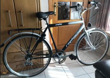 Herenfiets met versnellingen beschikbaar voor biedingen