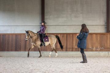 Dressuurles met oog voor welzijn van je paard!