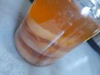 Kombucha zwam, Diversen, Levensmiddelen, Ophalen
