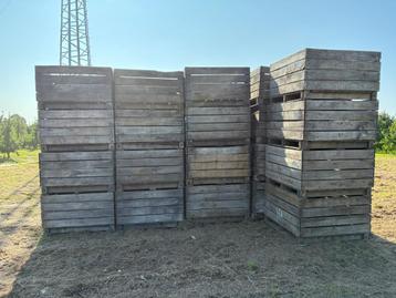 Houten paloxen  beschikbaar voor biedingen
