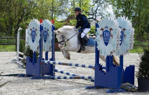 Super lieve 8- jarige B-pony, Dieren en Toebehoren, Pony's, Merrie, B, B pony (1.17m tot 1.27m), Recreatiepony, 7 tot 10 jaar