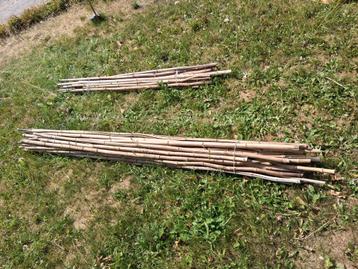 Bamboe palen 200cm-270cm - 35x beschikbaar voor biedingen