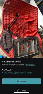 Setje lemieux + bijpassende beugels, Ophalen