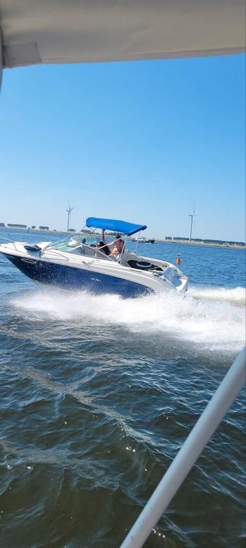 Weekend cruiser  Sea ray te koop., Enlèvement, Comme neuf