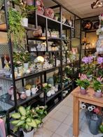 Winkelrek, Zakelijke goederen, Kantoor en Winkelinrichting | Magazijn, Stelling en Opslag, Ophalen