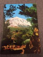 Oude postkaart Tenerife El Teide, Verzamelen, Ophalen of Verzenden, 1980 tot heden, Gelopen, Spanje