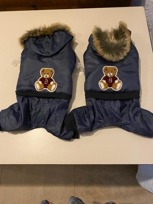 Skipakjes met beertje van het merk Doggy Dolly aan outletpri, Dieren en Toebehoren, Hondenkleding, Nieuw, Overige hondenkleding