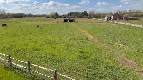 Weide met schuilhokken te huur in Rijmenam, Dieren en Toebehoren, Stalling en Weidegang, Weidegang, 4 paarden of pony's of meer