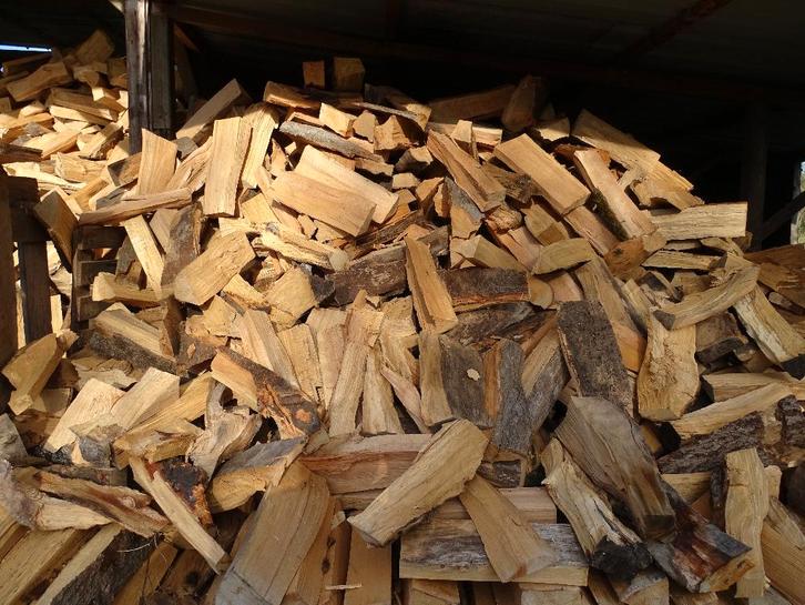 Bois de chauffage, Jardin & Terrasse, Bois de chauffage, Hêtre, Enlèvement ou Envoi