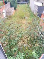 Maison viager libre, Immo, Maisons à vendre, 10 m², Maison 2 façades, Ventes sans courtier, Charleroi