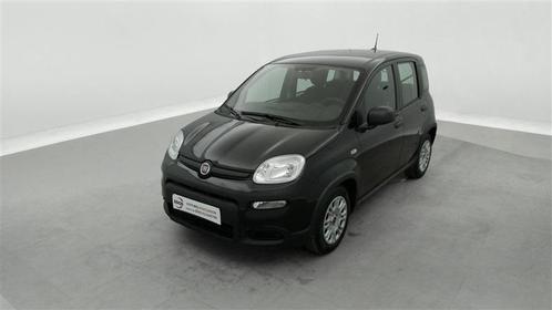 Fiat Panda 1.0i MHEV City Life CLIM / BLUETOOTH / PDC AR, Autos, Fiat, Entreprise, Achat, Panda, Essence, Hatchback, 5 portes