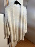 Wollen gilets apart te koop, Ophalen, Zo goed als nieuw, Maat 38/40 (M)