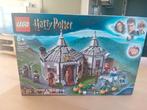 Lego Harry Potter Hagrid's Hut: Buckbeak's Rescue 75947, Verzamelen, Harry Potter, Ophalen of Verzenden, Zo goed als nieuw