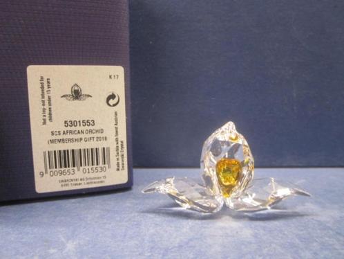 Swarovski SCS 2018 Afrikaanse Orchidee, Verzamelen, Swarovski, Nieuw, Figuurtje, Ophalen of Verzenden