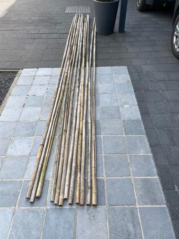 Bamboe stokken, Tuin en Terras, Ophalen