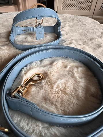 Blauw harnas + leiband: Perro colletion letter O beschikbaar voor biedingen