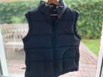 Zwarte bodywarmer Tommy Hilfiger maat 42, Ophalen of Verzenden, Zo goed als nieuw, Maat 42/44 (L), Zwart