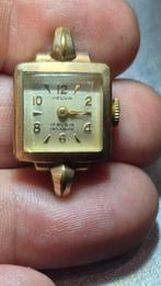 Montre helva