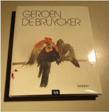 Mooi Kunstboek - Geroen De Bruycker - Lowie Weynants beschikbaar voor biedingen
