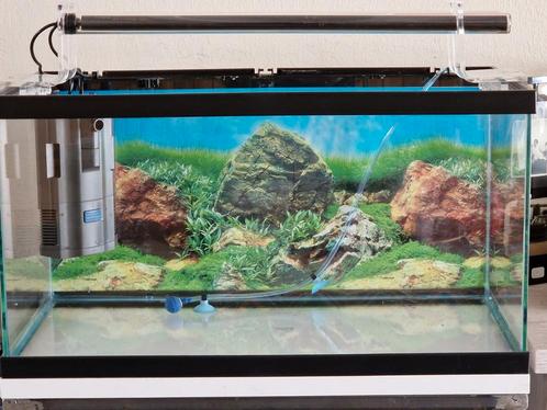 Volledig geïnstalleerd aquarium, Animaux & Accessoires, Poissons | Aquariums & Accessoires, Comme neuf, Enlèvement ou Envoi