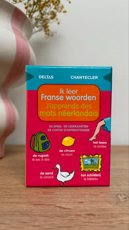 ZNU - Ik leer Franse woorden, Boeken, Kinderboeken | Jeugd | onder 10 jaar, Zo goed als nieuw, Ophalen