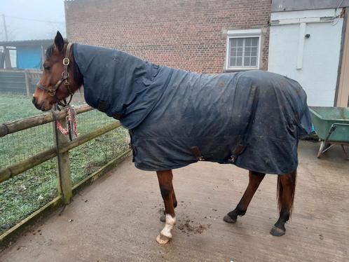 Kentucky Hurricane 150gr 125 cm, Dieren en Toebehoren, Paarden en Pony's | Dekens en Dekjes, Zo goed als nieuw, Ophalen of Verzenden