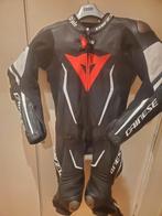 Dainese, Motoren, Kleding | Motorkleding, Combipak, Nieuw zonder kaartje, Dainese, Heren