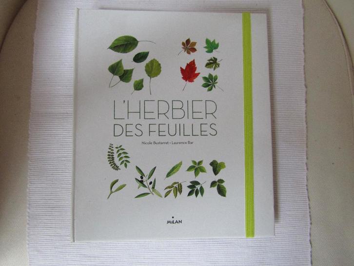 Apprendre et à faire soi-même "Herbier des feuilles", Livres, Science, Neuf, Sciences naturelles, Enlèvement ou Envoi