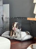 Bench honden, Dieren en Toebehoren, Ophalen, Zo goed als nieuw