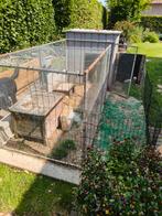 Gratis konijnenhok met buitenren., Dieren en Toebehoren, Knaagdieren en Konijnen | Hokken en Kooien, Ophalen, Zo goed als nieuw