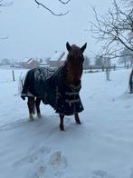 D of E pony gezocht, Dieren en Toebehoren, Ophalen of Verzenden, Zo goed als nieuw