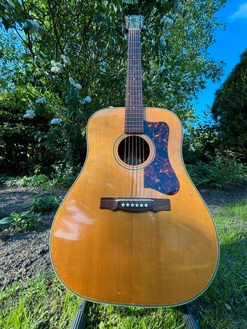 Guild D40, Musique & Instruments, Enlèvement ou Envoi, Utilisé, Guitare Western ou Guitare Folk, Avec valise