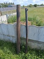 Weipalen, Dieren en Toebehoren, Stalling en Weidegang