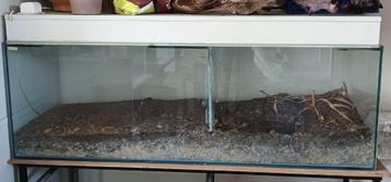 Terrarium met verlichting op onderstel. beschikbaar voor biedingen
