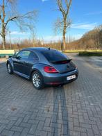 Vw beetle 5c, Autos, Volkswagen, Cuir, Achat, Boîte manuelle, Coccinelle