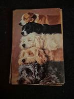 Postkaart honden, Verzamelen, Postkaarten | Dieren, Ophalen of Verzenden