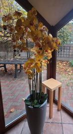 Orchidée artificielle 1m50, Ophalen