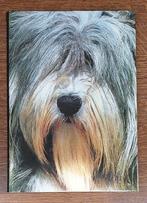 Boek - Artis Historia - De Hond een mensenvriend - € 5, Boeken, Dieren en Huisdieren, Ophalen of Verzenden, Zo goed als nieuw