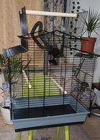 Vogelkooi, Ophalen, Vogelkooi