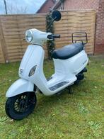 TURBHO RL50 A KLASSE, Ophalen