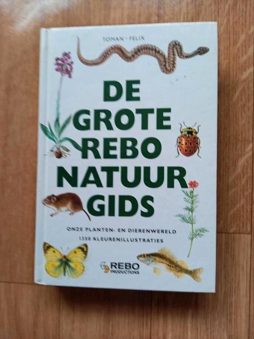 DIT IS DE MOOISTE NATUURGIDS DIE ER IS ❤️🧡💛💚, Boeken, Natuur, Nieuw, Vogels, Ophalen of Verzenden