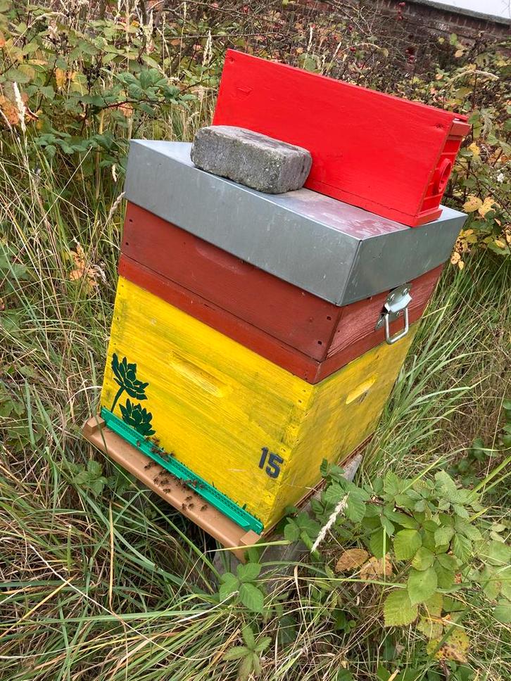 Matériels apiculture, Dieren en Toebehoren, Overige Dieren-accessoires, Gebruikt, Ophalen